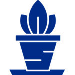 Decoración